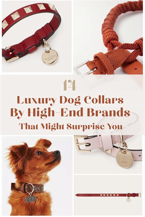 14 Luxury Dog Collars By High